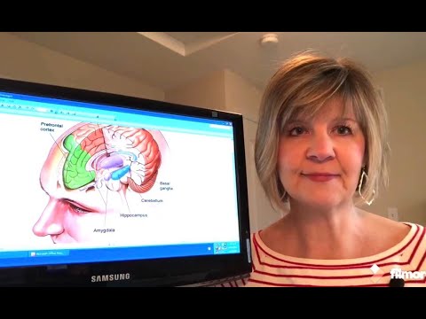 Why Our Brains are Being “Hijacked” Right Now