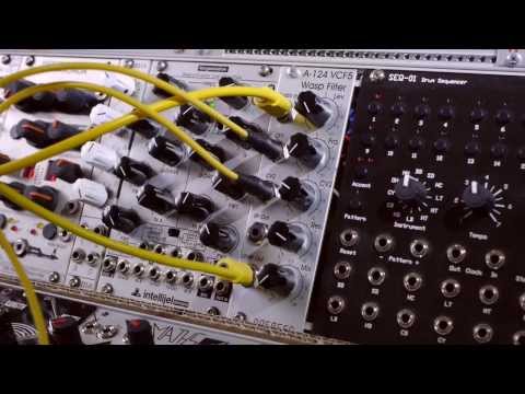 Doepfer A-124 SE Wasp - Filter Modular Synthesizer image 5