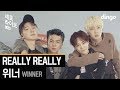 Winner (II) - Really Really (Live Version)
