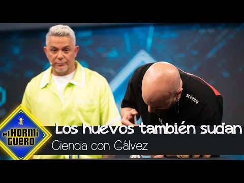 Gálvez demuestra a Alejandro Sanz que los huevos también sudan - El Hormiguero