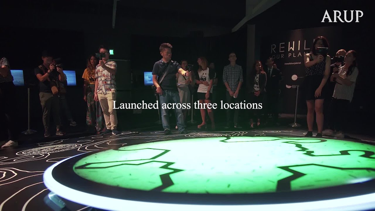 Rewild Our Planet: a social augmented reality experience | Arup