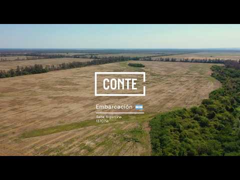Conte - Embarcación 1370 ha