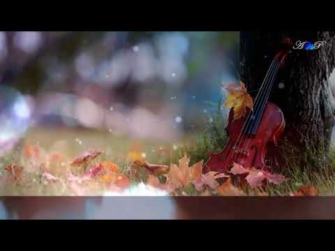 Premayayi wairayayi athare