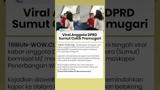 Karena Hal Sepele, Diduga Anggota DPRD Sumatera Utara Nekat Mencekik Pramugari: Masalah Koper