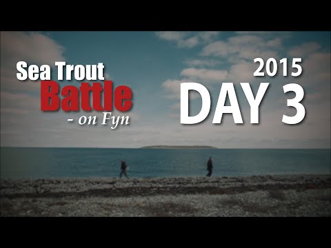 Sea Trout Battle - Season 1 • Day 3