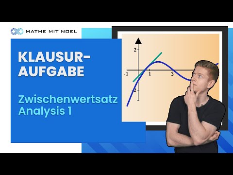Intermediate Value Theorem and Monotonicity | Exam Question | Analysis 1