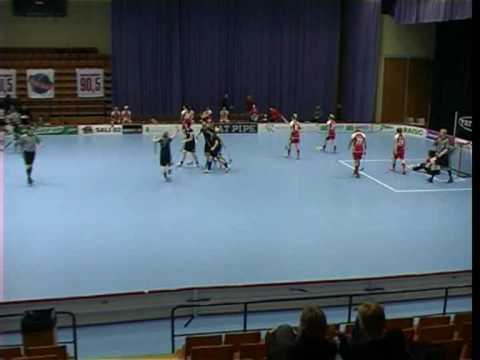 Maalikooste - TPS naiset 2008-2009.