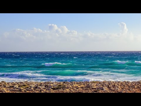Meeresrauschen mit Möwen - Naturgeräusche für Entspannung, Einschlafhilfe, Lernhilfe, Stressabbau