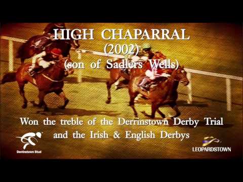 Derrinstown Stud Derby Trial A Celebration