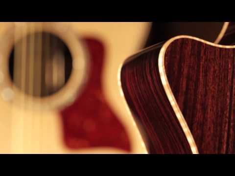 Taylor Guitars 800 Series Guitar