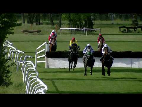 4. dostih - Cena firmy Petr Novotný - dostihy Pardubice 8. 5. 2019