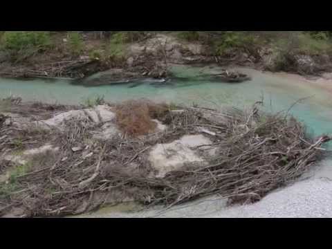 Deutschlands letzte Wildflüsse: Obere Isar bei Vorderriss