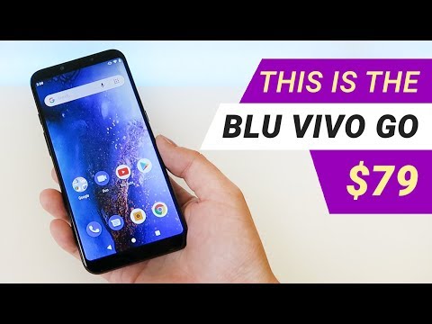 BLU Vivo Go: What $79.99 Gets You