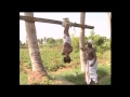 Valanattu Kottai Annanmar Samrajayam K Raaj Bhaskar