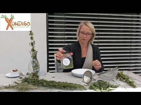 Brennnessel-Samen ernten und verwenden