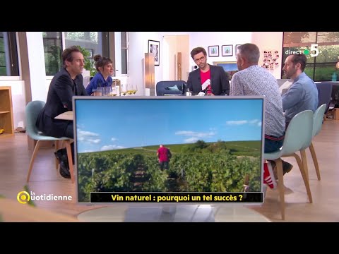 download lagu mp3 mp4 Vin Naturel, download lagu Vin Naturel gratis, unduh video klip Vin Naturel