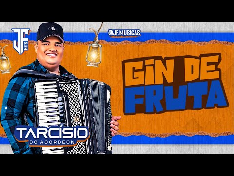 Tarcísio do Acordeon - Gin de Fruta