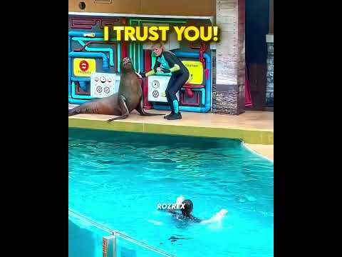A SEA LION BECAME HER HERO ❤️‍🩹