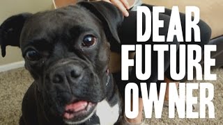 Meghan Trainor - Dear Future Husband Parody - &quot;Dear Future Owner&quot; Dog Parody