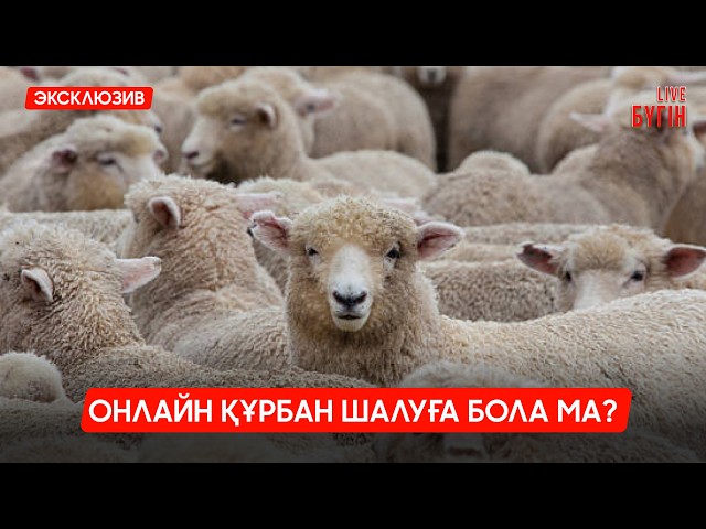 Онлайн құрбан шалуға бола ма?