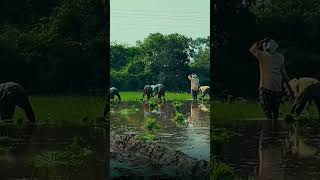 Download lagu @psr-series8106 #farmer #farming #jaikissan mp3