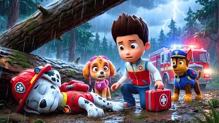 Download lagu Dios mío... ¡Marshall, por favor despierta! 😭 ¡No dejes a la Paw Patrol! | PAw PatRol en Español mp3 Download lagu Dios mío... ¡Marshall, por favor despierta! 😭 ¡No dejes a la Paw Patrol! | PAw PatRol en Español mp3
