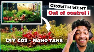 I Rebuilt It Into a Dutch style Aquascape... Plants were growing too fast !