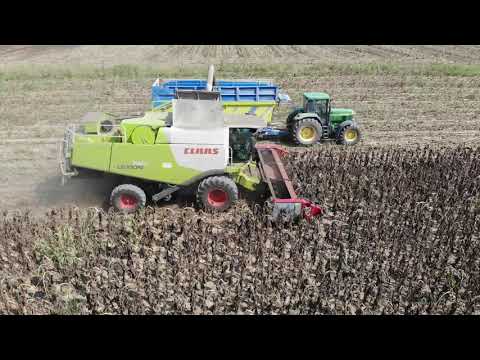 DOMINONI FREE SUN 610 LEXION 740