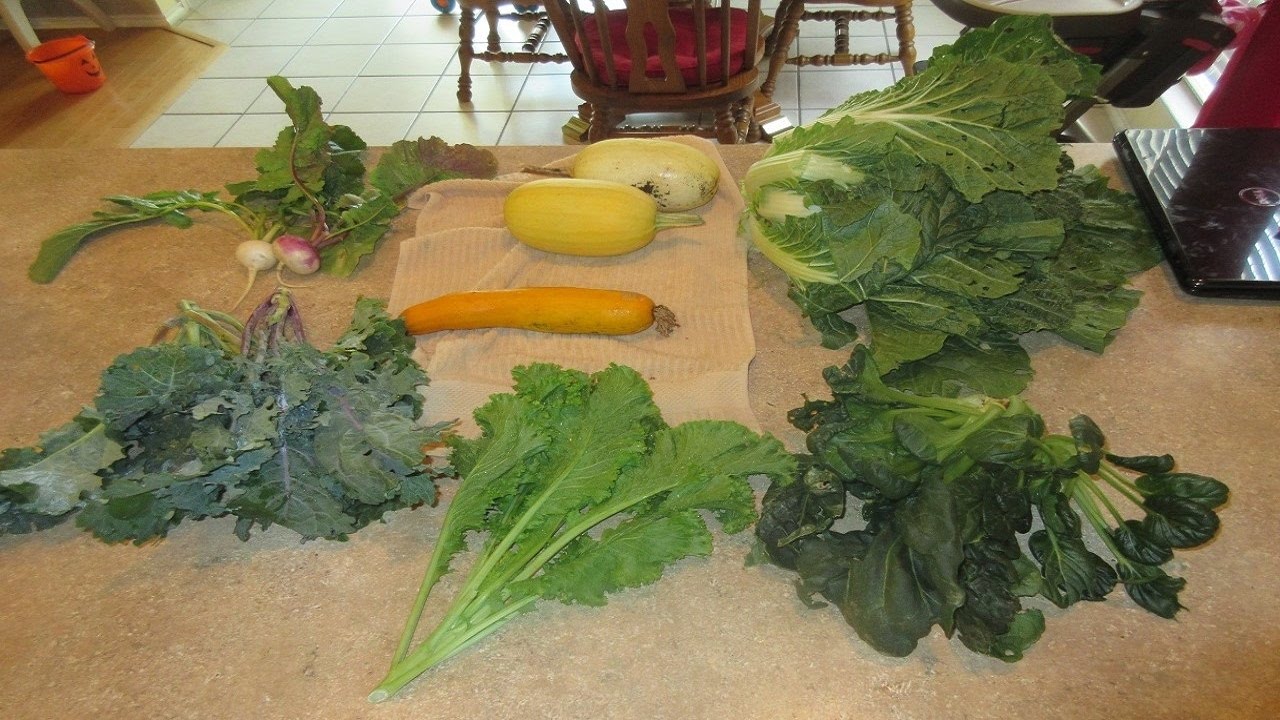 CSA HAUL WEEKS 6 & 7 | FALL 2016