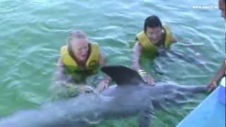 preview picture of video 'Swimming and playing with dolphins'