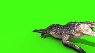 Download lagu green screen buaya mp3