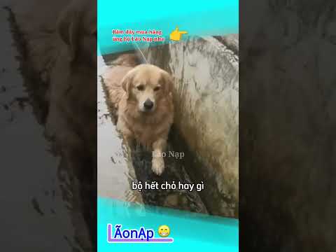 Đường nào chả vậy 😅 #laonap