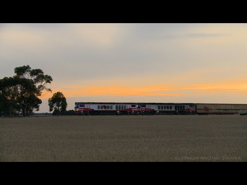 SCT 5AM9 Mixed Freight Train Crosses 7901V At Wingeel (7/3/2019) - PoathTV Australian Railways