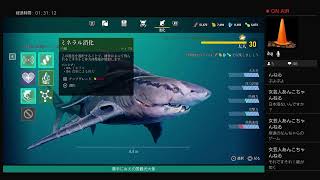 ＃人食いサメ