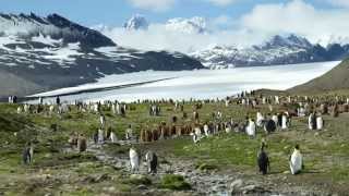 Norway, Spitsbergen, Iceland, Greenland & Antarctica