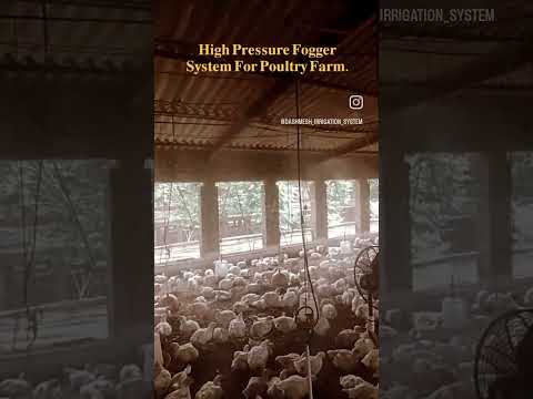 Poultry fogging system
