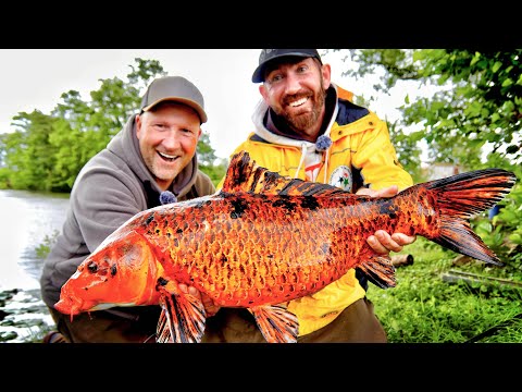 Geheimer WALDSEE voller ÜBERRASCHUNGEN !!!