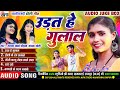 Sarla Gandharw | Kanchan Joshi | Cg Holi Song | Udat He Gulal | छत्तीसगढ़ी होली गीत | Faag Geet 2024