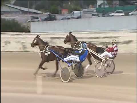 Trotto 11/03/2018 - 5ª corsa