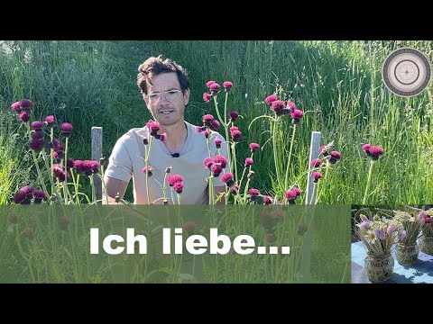 , title : 'Wichtige heimische Pflanzen für den Naturgarten, Sommertischdekoration, Hochzeitstischideen'