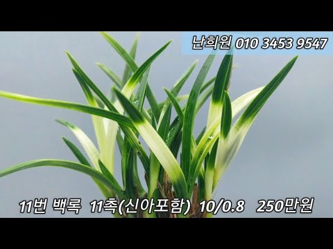 유튜브 썸네일