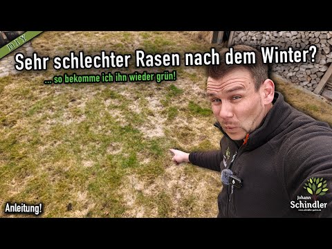 Lawn care in spring – easy and affordable for a beautiful lawn [step by step]