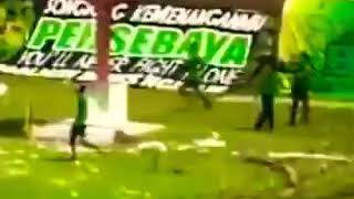 Download lagu SALAM SATU NYALI WANI💚🐊🦈 mp3 Download lagu SALAM SATU NYALI WANI💚🐊🦈 mp3