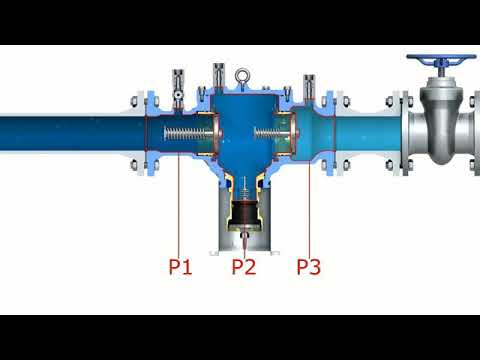 RPZ Valve Function