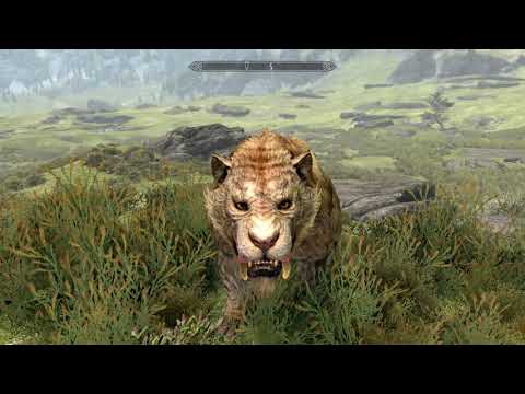 SKYRIM MODS COFFEE REVIEWS Grayhill Keep