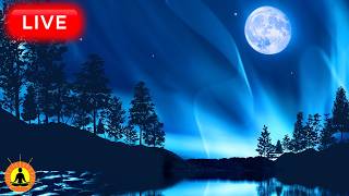 🔴 Sleep Deeply in Minutes - Relaxing Sleep Meditation Music to Help Cure Stress & Beat Insomnia Fast thumbnail