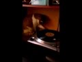 Dj Abraham the cat. Sugar, sugar by the ventures