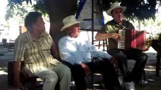 TIO NECHO PALOMA PIQUITO DE ORO