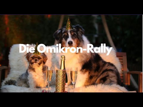 Stock markets: Omicron rally – have the bulls won? Video outlook