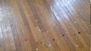 What to do if you have hardwood floors under your carpet